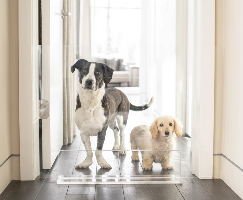 Custom Clear  Acrylic Modern Panel Freestanding Pet Dog Gate