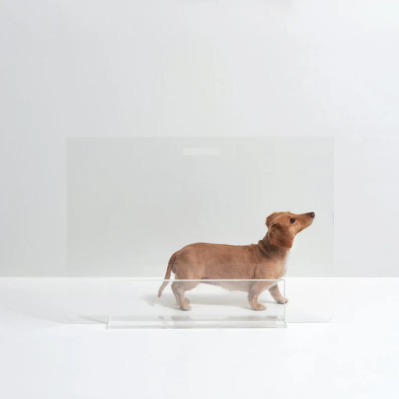 Custom Clear  Acrylic Modern Panel Freestanding Pet Dog Gate