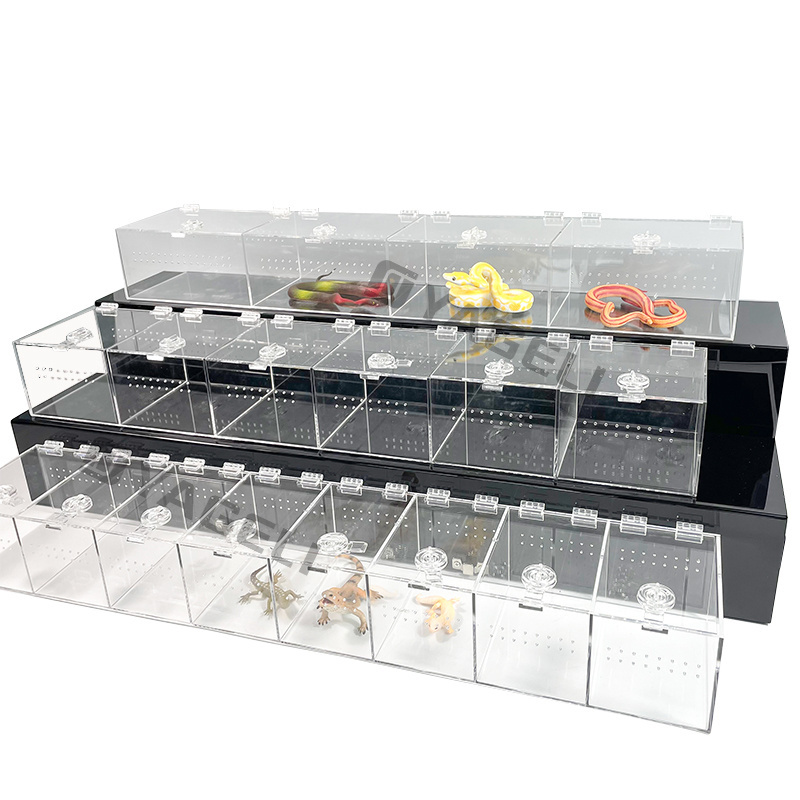 new design 3 tier custom clear acrylic lizard gecko snake reptile enclosure hatchling display case for reptile show vending BestSuppliers