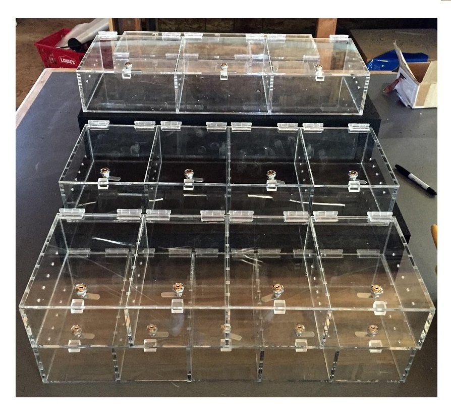 new design 3 tier custom clear acrylic lizard gecko snake reptile enclosure hatchling display case for reptile show vending