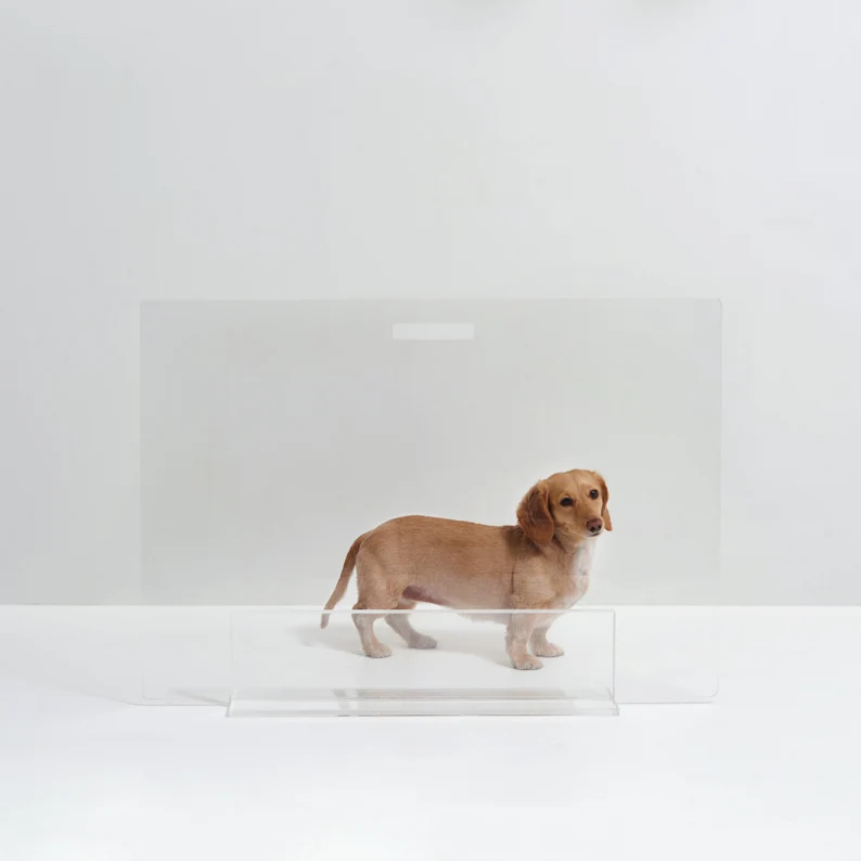 Custom Clear  Acrylic Modern Panel Freestanding Pet Dog Gate