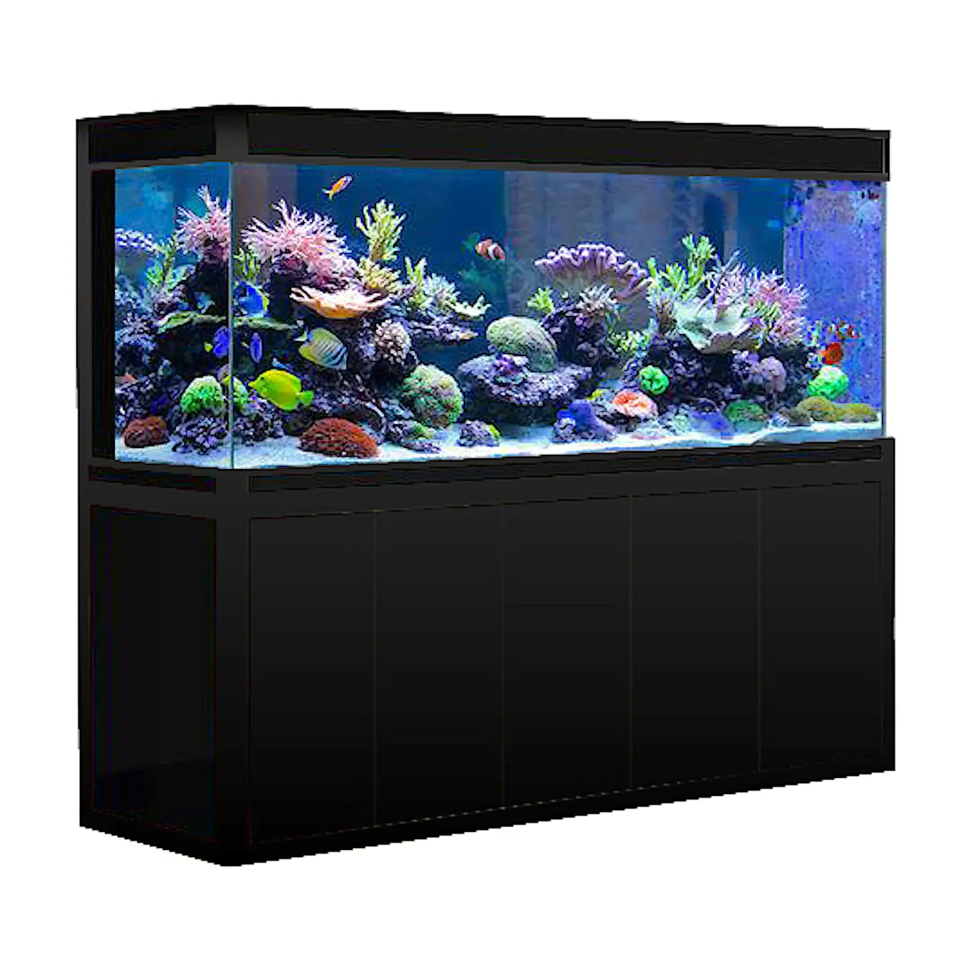 Not deformed 2thick plexiglass 1 2 thick acrylic sheet 3mm thick acrylic sheet 5mm thick acrylic sheet for fish tank