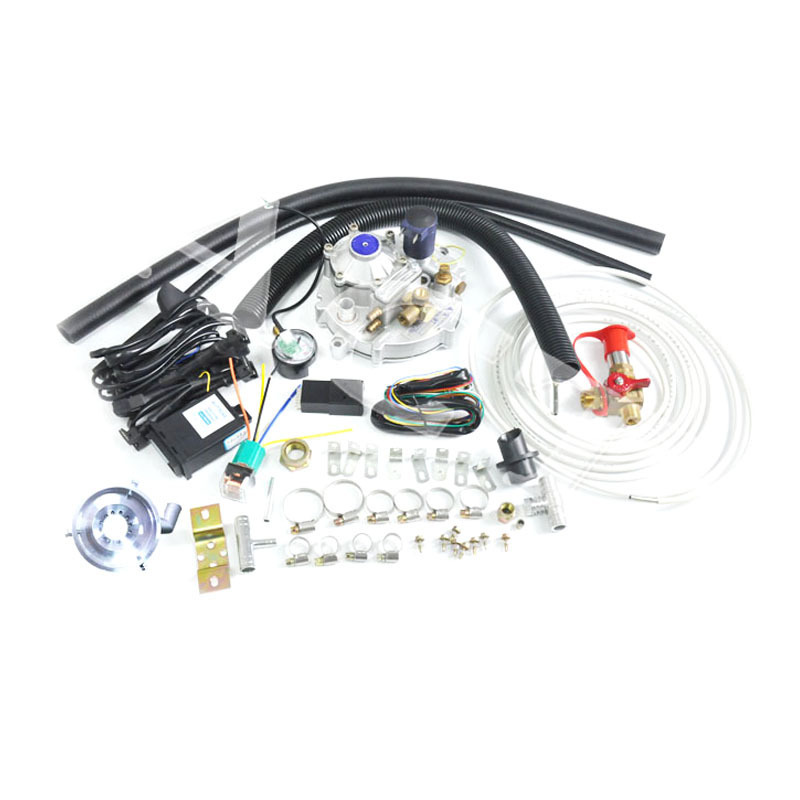 hot selling efi conversion kits1000cc motorcycle engine cng efi carburetor