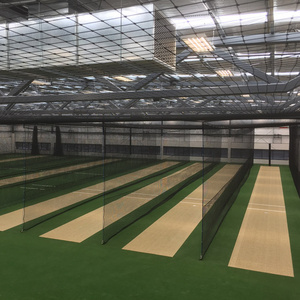 cricket /basketball/baseball turf artificial grass for cricket pitch