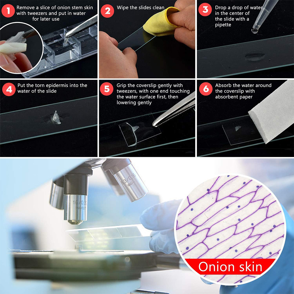 Laboratory Use Economy 7101 7102 7105 7109 Glass Prepared Polished Frosted Microscope Slide