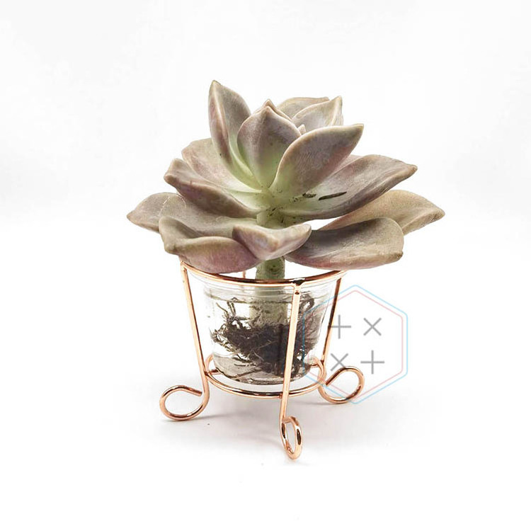 Birthday Gifts for Women Lovers Succulent Pots with metal stand Only