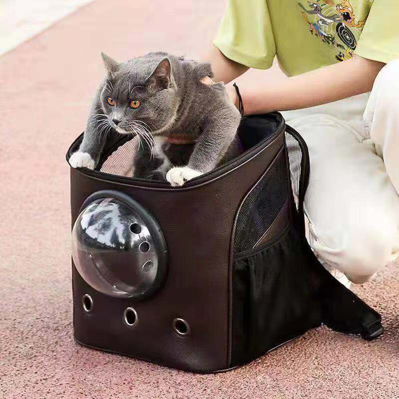 Space Capsule Dog Carrying Bag Cat Carrier Pet Backpack for Travel Outdoor Hiking Black