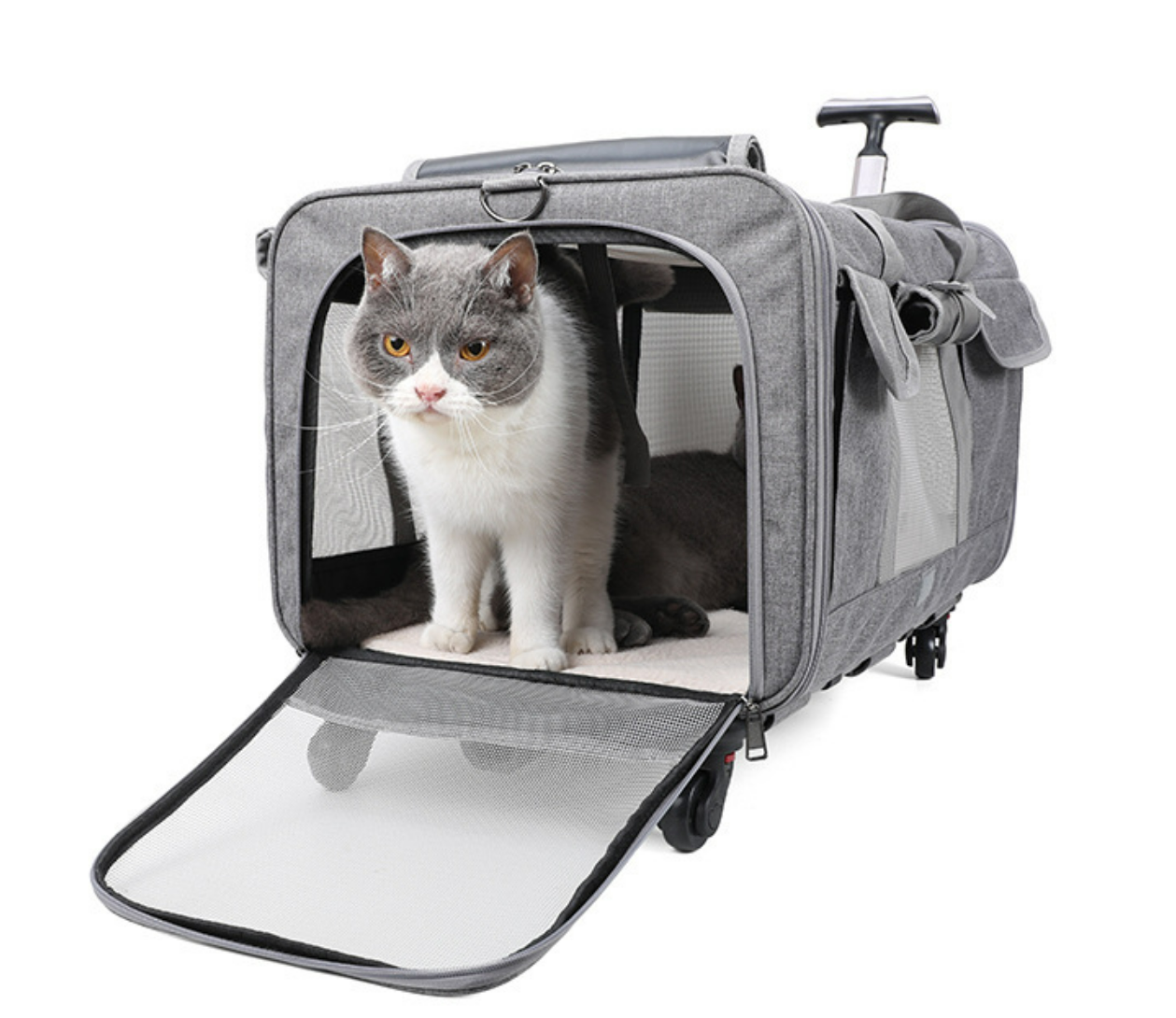 Airline Approved Soft Sided Double-Compartment Rolling Tote Luggage  Cat Dog Pet Carrier With Detachable Wheels Pet Trolley