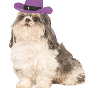 Pet Cowboy Hat Pet Headgear Western Fur Felt Dog Cat Party Small Hat