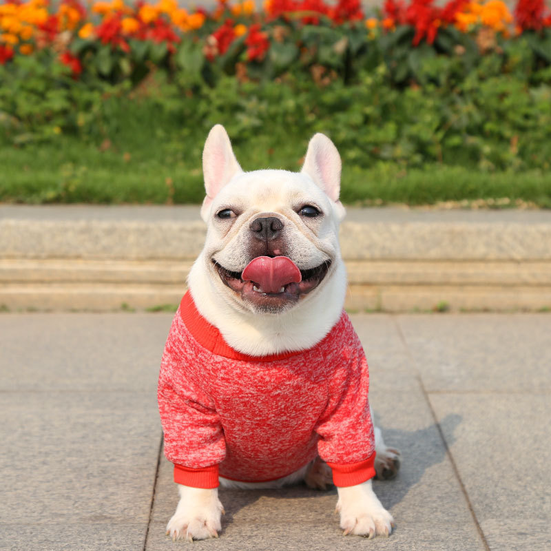 Knitwear Sweater Fleece Coat Soft Thickening Warm Shirt Winter Pet Dog Cat Clothes Puppy Costume Clothing for Small Dog