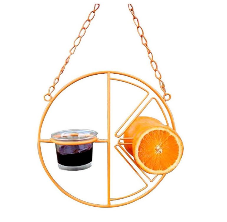 Hot Sale Orange Clementine Design Humming bird Outdoor Garden Hanging Bird Feeder with Glass Jelly cup