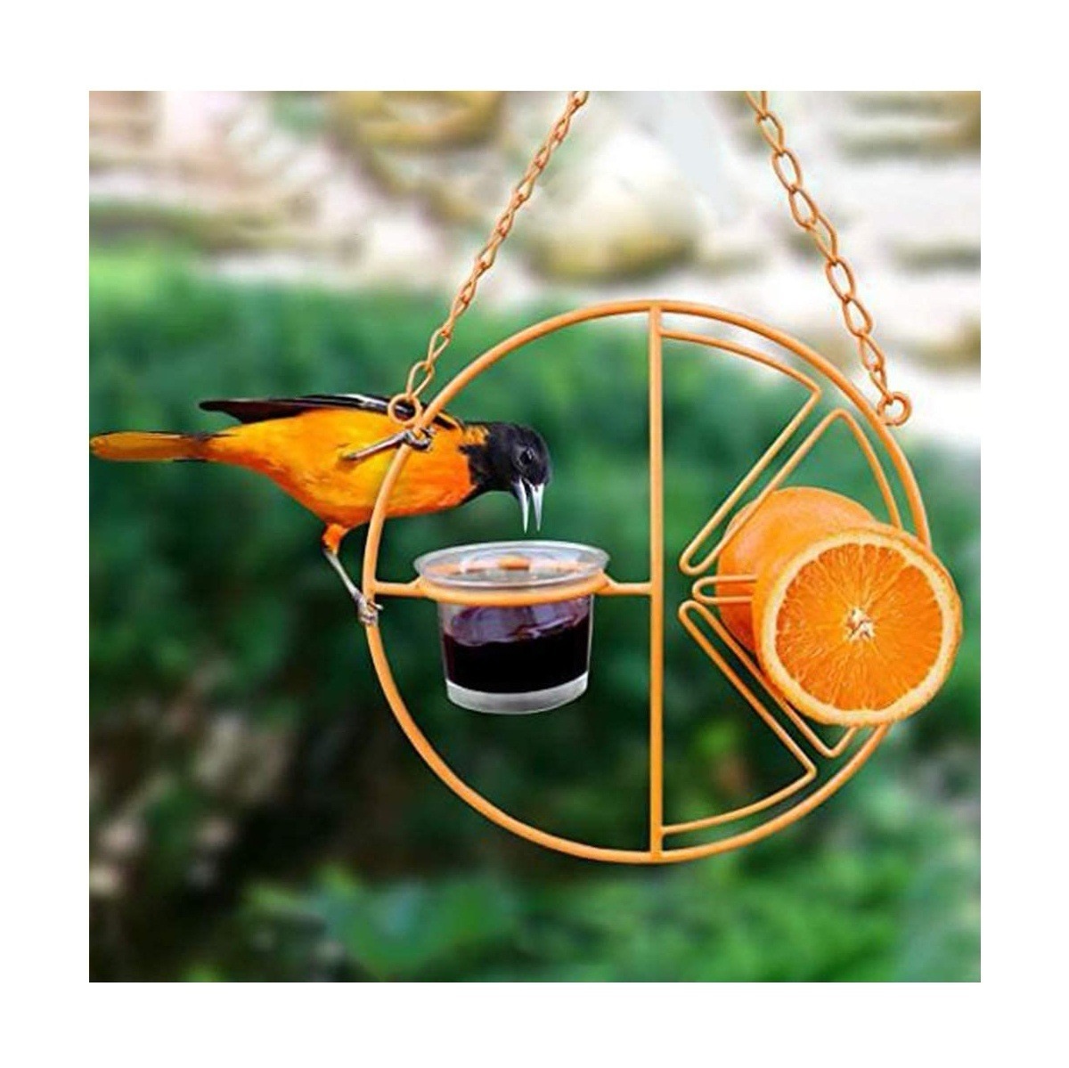 Hot Sale Orange Clementine Design Humming bird Outdoor Garden Hanging Bird Feeder with Glass Jelly cup