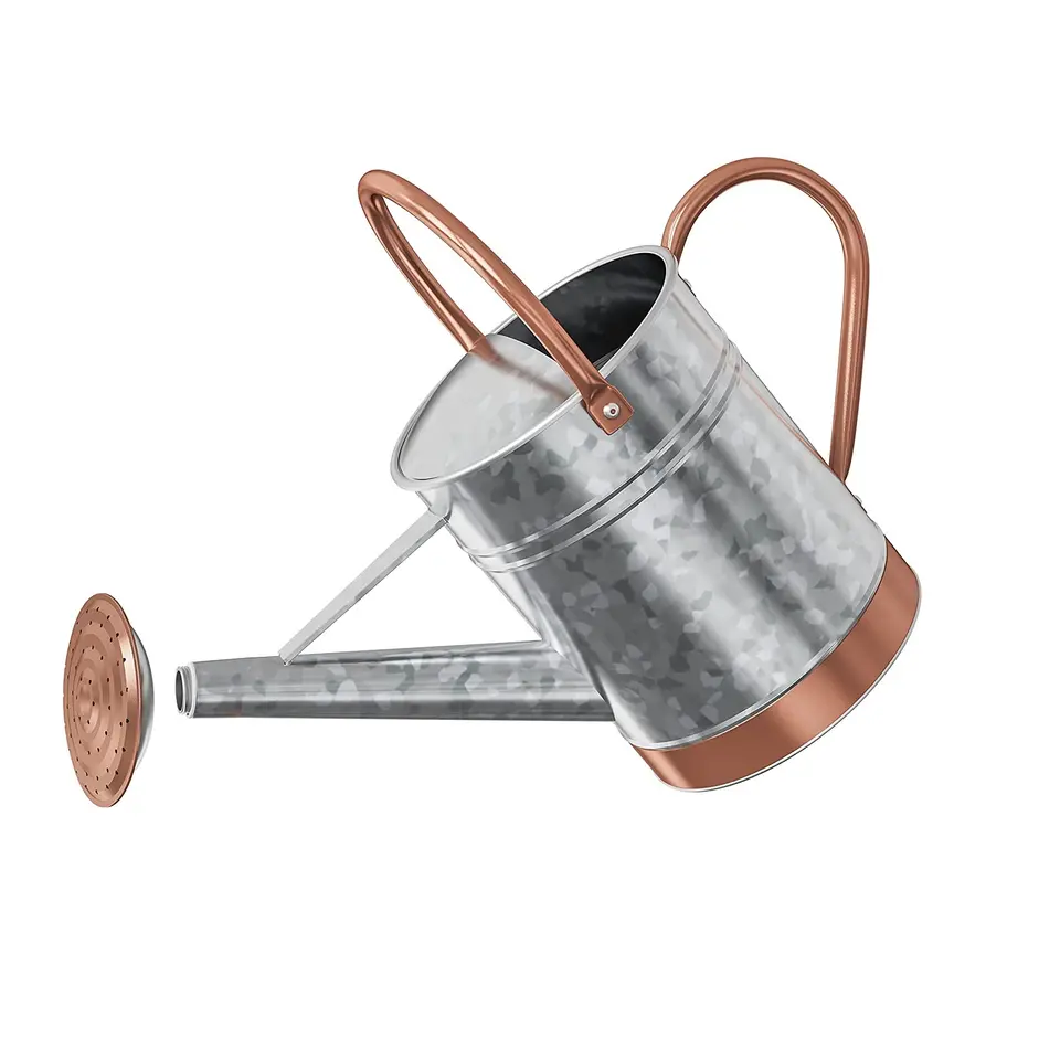 multi-functional Gallon Watering Can for Outdoor Plants - Metal Watering Can for Outdoor Plants House Plant Watering Can