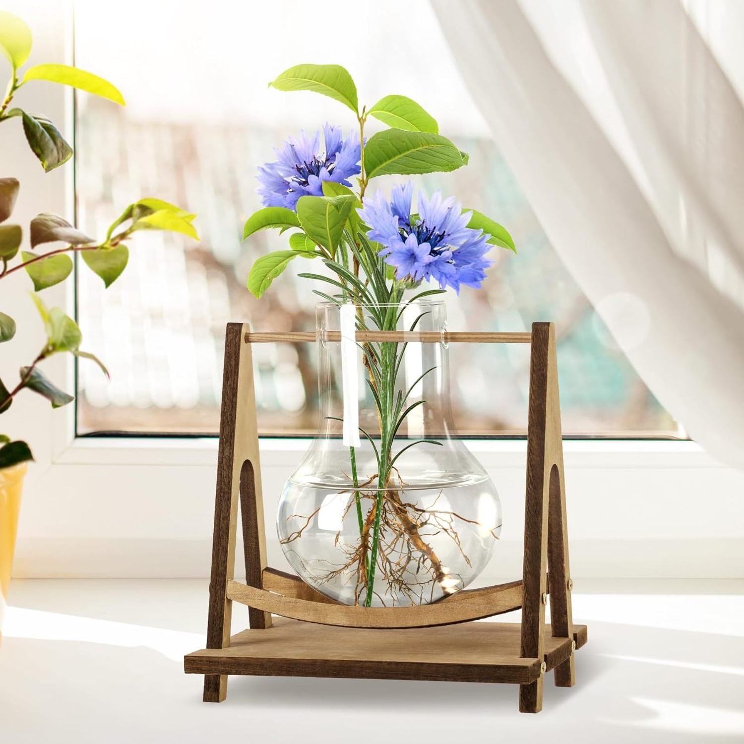 top seller plant  Test Tube Plant Terrarium Hydroponic Vase Glass Planter Holder for Home Office Decoration Live Office Plants