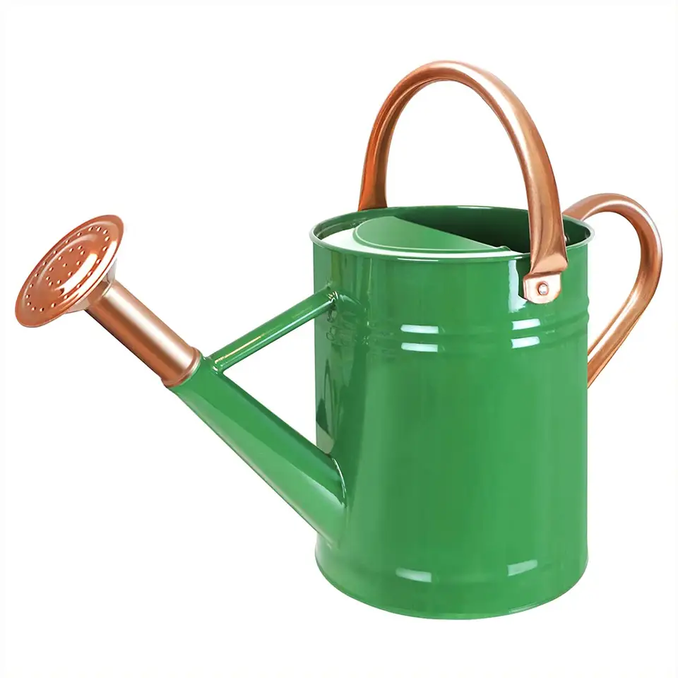 affodabale price Watering Can Steel Stainless Galvanized Metal Spout Long Plants Indoor Gallon Pot Gal Modern Outdoor Garden