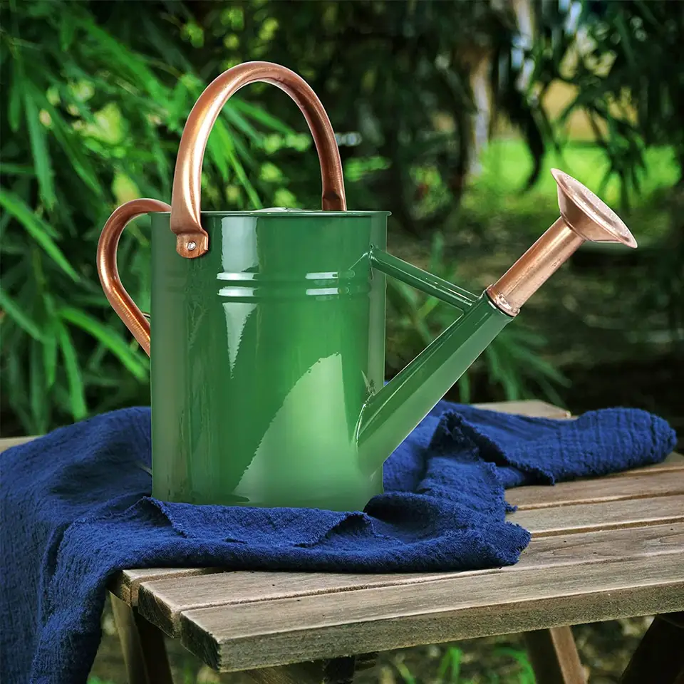 affodabale price Watering Can Steel Stainless Galvanized Metal Spout Long Plants Indoor Gallon Pot Gal Modern Outdoor Garden