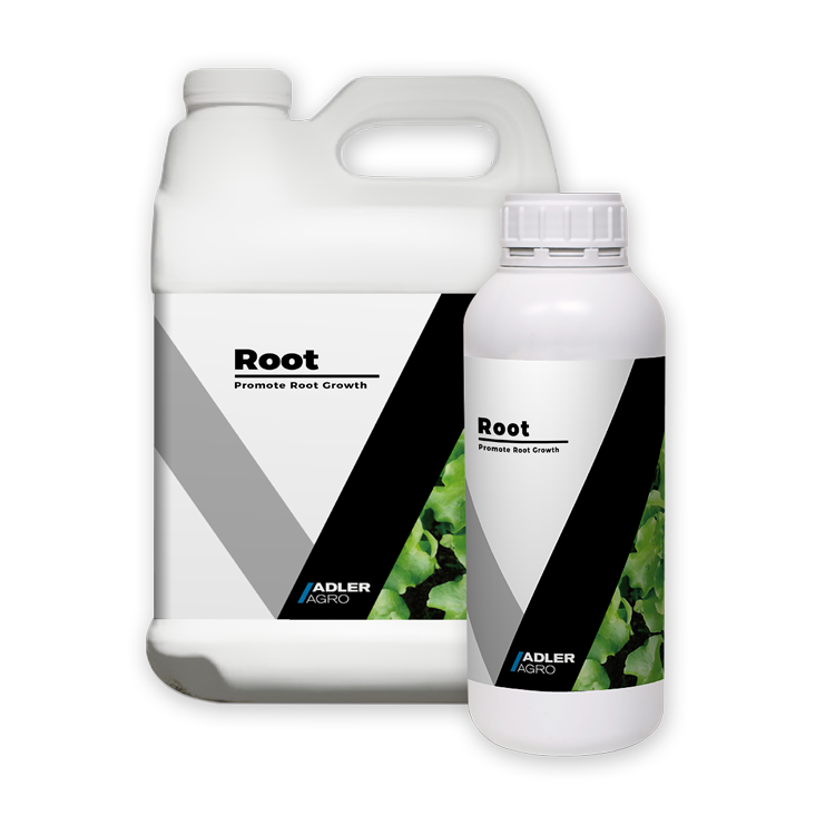 Activating Plant Power Grow Fertilizer Vegetables and Fruits Natural Organic Foliar Fertilizer for Maize