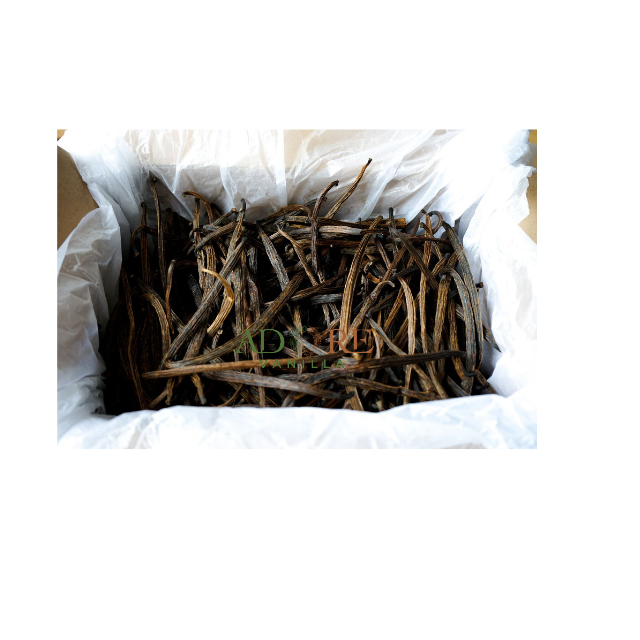 The Excellent Quality Vanilla Bean Sticks of 100 % Original Superior Quality and Low Prices