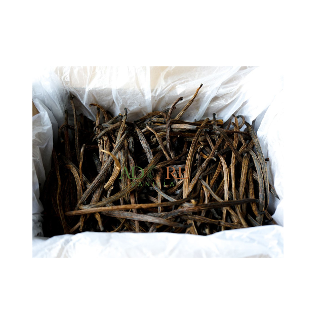 The Excellent Quality Vanilla Bean Sticks of 100 % Original Superior Quality and Low Prices