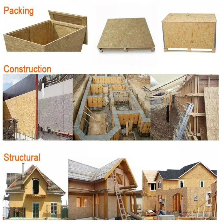 Factory Supply 6-30mm OSB Plywood for Decoration Package Commercial plywood furniture