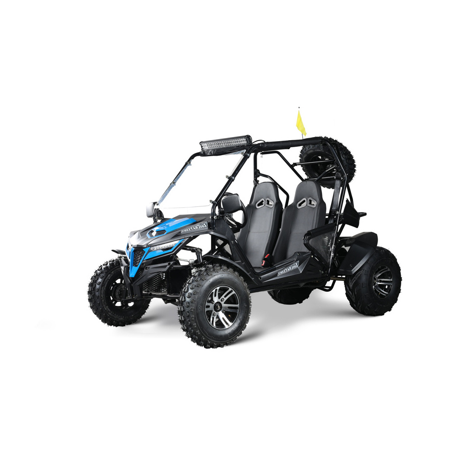 High Horse Power Junior 250 Utility Terrain Vehicle Cheap UTV Buggy 4x4 Best Performance 300cc