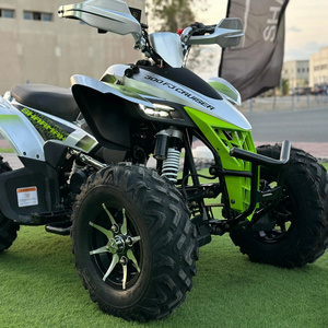 Best Selling ATV quad bike 300 FJ Cruiser High Quality quad bike  ATV quadbike Off Road