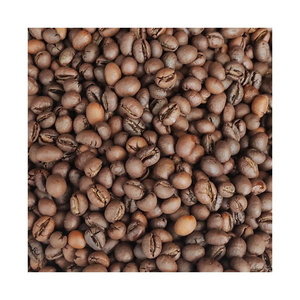 2024 Best Quality Made in India PB Roasted Coffee Golden Black Coffee Beans For Coffee Shops