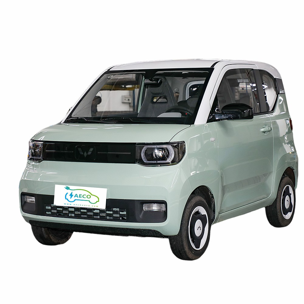 Ready To Ship Wuling Mini Car Electric Made In China 2 Person Electric Car