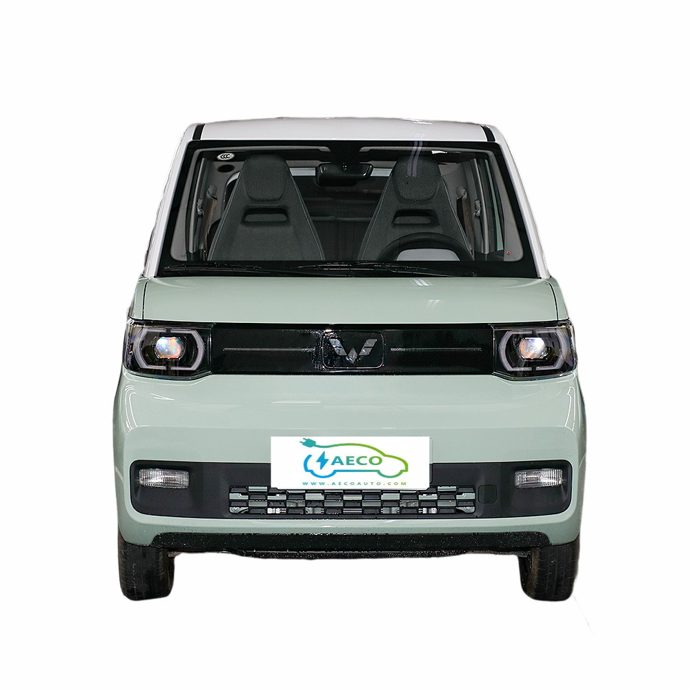 Ready To Ship Wuling Mini Car Electric Made In China 2 Person Electric Car