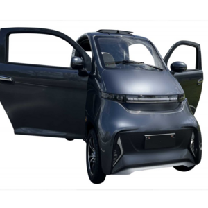 AERA-SQ4 New Energy EEC Approved Chinese Two Seater Adult Electric Car Vehicle Electric Car in Canada