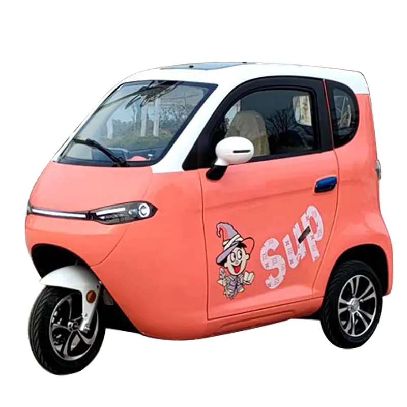 3 Wheel Electric Fully Enclosed Mobility Scooter no License Car 1500W EEC Disabled Electric Tricycle for 2 People