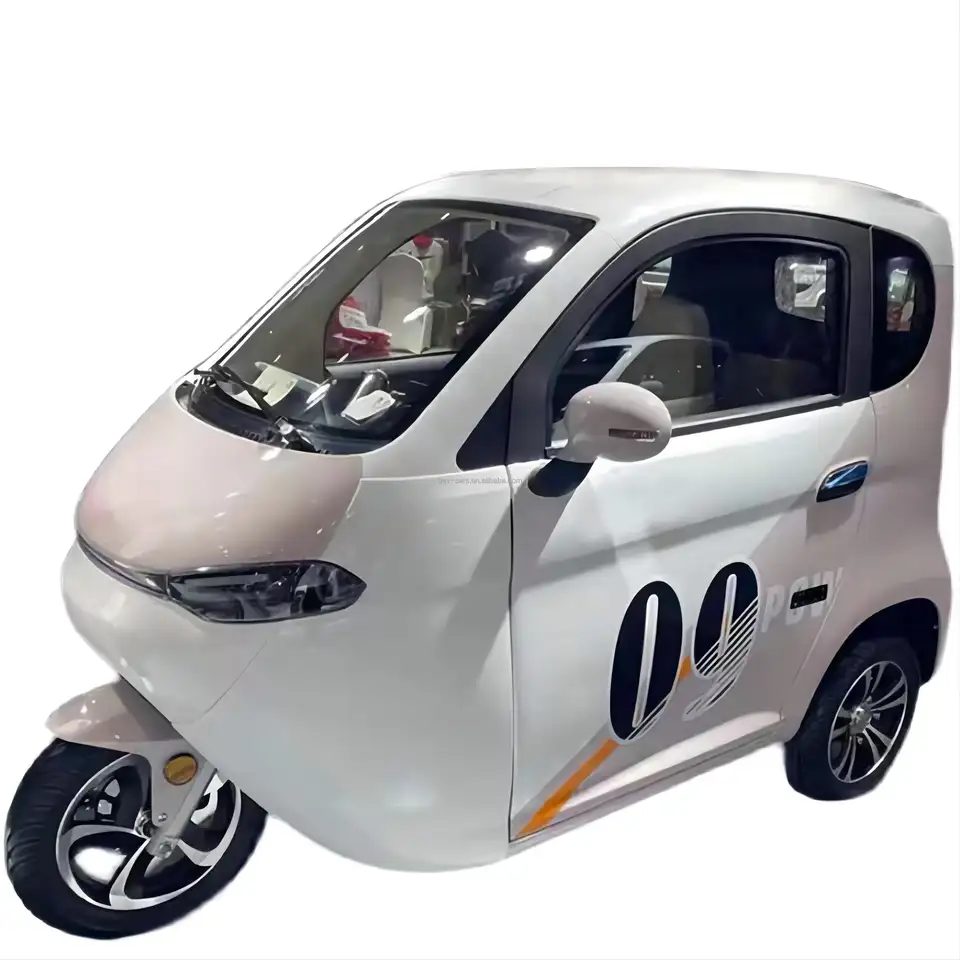 3 Wheel Electric Fully Enclosed Mobility Scooter no License Car 1500W EEC Disabled Electric Tricycle for 2 People