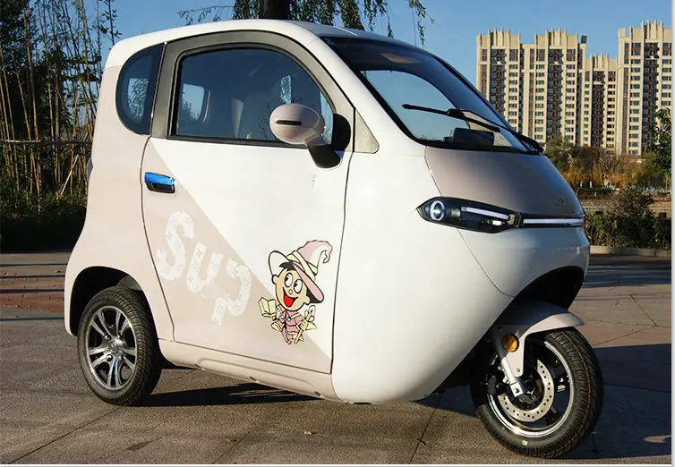 3 Wheel Electric Fully Enclosed Mobility Scooter no License Car 1500W EEC Disabled Electric Tricycle for 2 People