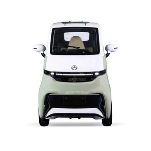 Smart 2 Person Electric Car 4 Wheel Enclosed Vehicle 45 km/h Kabinenroller EEC Disable Scooter Electric Adult Car