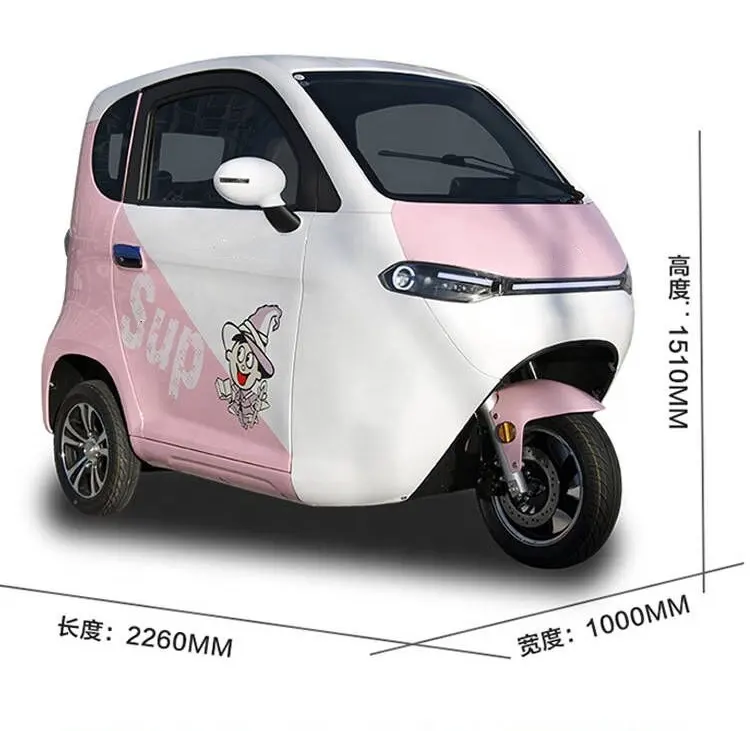 60v 3000w brushless motor 3 wheel motorcycle adults fully enclosed electric tricycle closed electric trike with roof