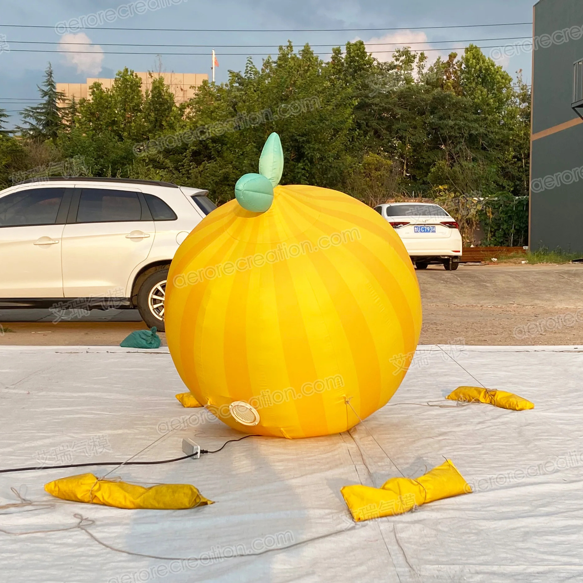 Aero Fruit Replica Inflatable Advertising Giant Inflatable Lemon