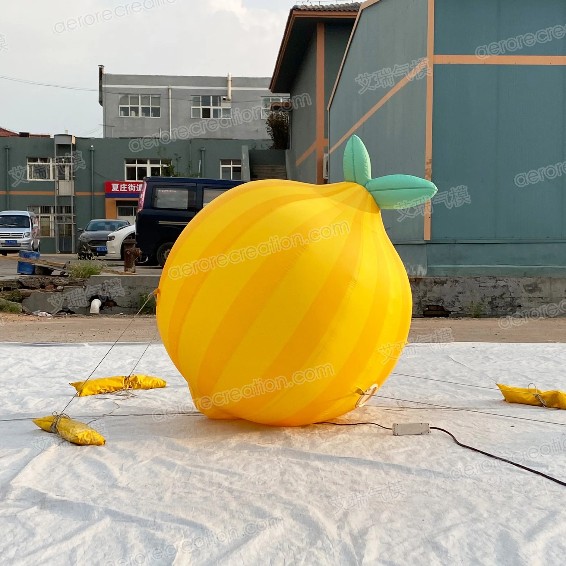 Aero Fruit Replica Inflatable Advertising Giant Inflatable Lemon