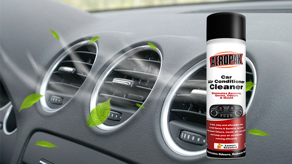 Aerosol Car Air Conditioner Cleaner Foaming Spray