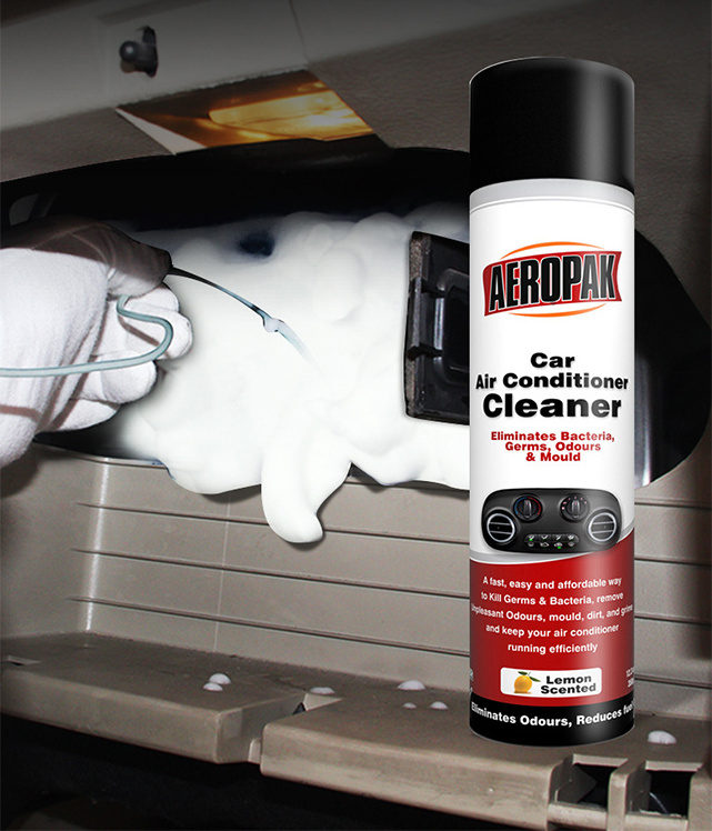 Aerosol Car Air Conditioner Cleaner Foaming Spray