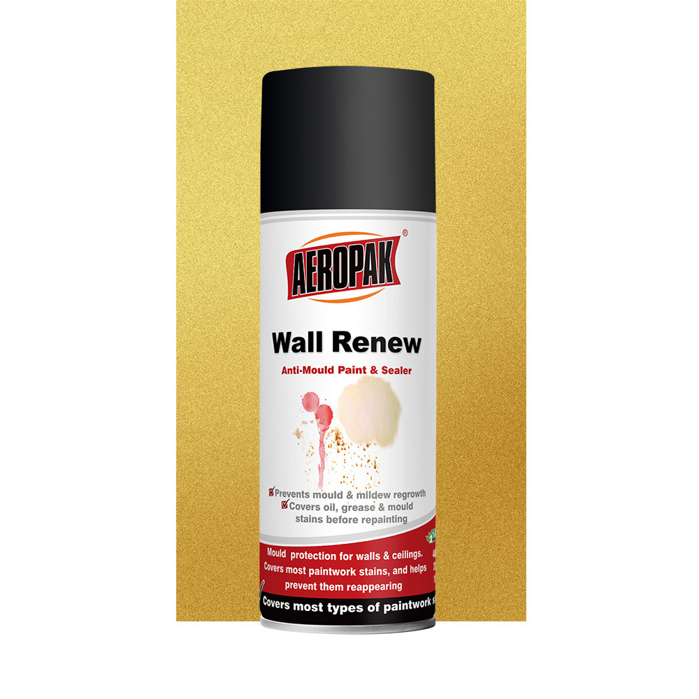 Aerosol 400ml Spray Wall Paint for Renew Interior Walls