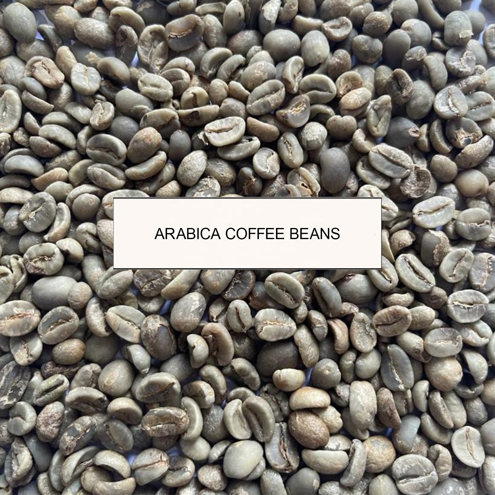 Arabica Full Wash Green Beans Coffee West Java Indonesia