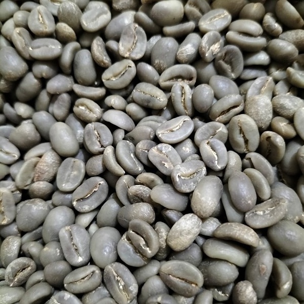 Arabica Semi Wash Green Beans Coffee West Java Indonesia