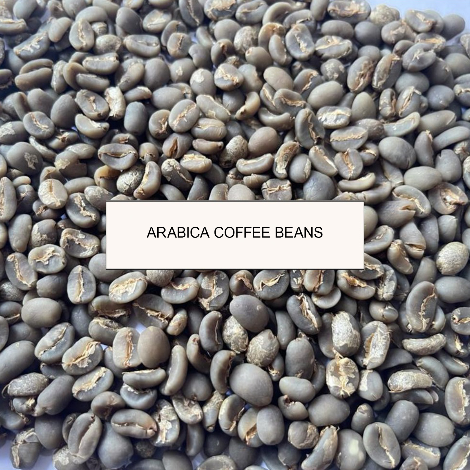 Arabica Full Wash Green Beans Coffee West Java Indonesia