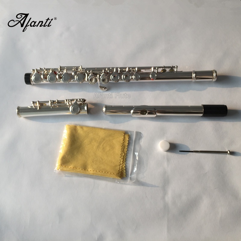 Afanti Flute OEM 16 Closed Hole Silver Student Silver Plated Electric Soprano Recorder Wood Cross Flute Nozzle C Instrument