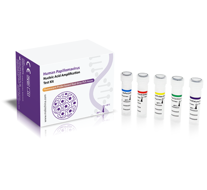 HCV Rapid Test Kit Medical Diagnostic Anti-HCV Test Kits High Accuracy CE Approved antigen HCV rapid schnell test online