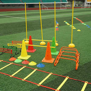 China exercise equipment Fitness adjustable orange soccer training football training obstacle agility ladder