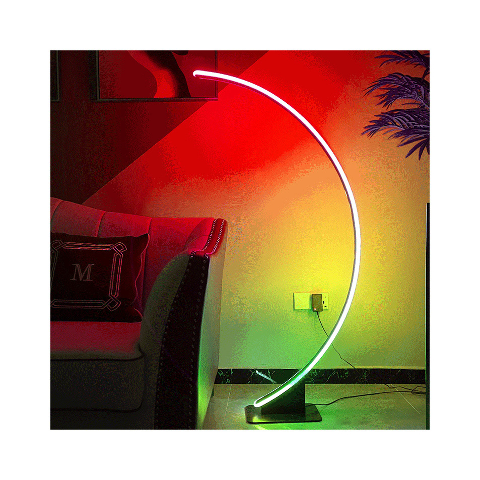 Nordic simple lines arc RGB floor lamp living room bedroom sofa floor lamp personality art LED decorative lights