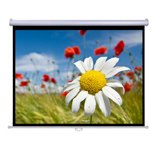 For Education Meeting Wall Mounted Film Front Projection Aoto Lock Manual Roll Up Projector Screen