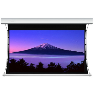 180 inch 16:9 Electric Tubular Motor Tab-tension projector screen Projection Screen with EU/ UK/AU wire-control remote control