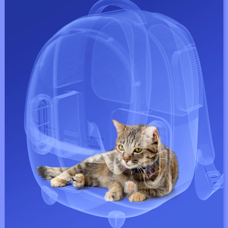 Pet Carrier Backpack Front Pack Going Out Portable Transparent Space Capsule Pet Bag Going Out Cat Supplies Breathable Backpack